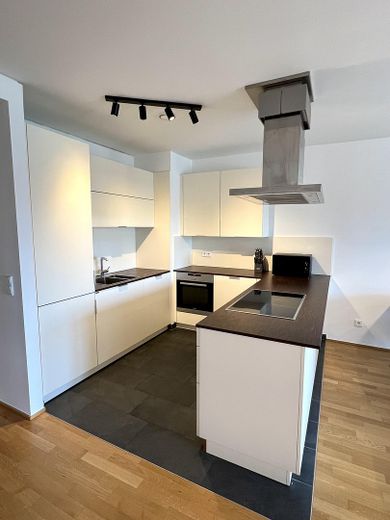 Möblierte 2-Zimmer-Wohnung in erster Reihe zum Main – Voll ausgestattete Einbauküche