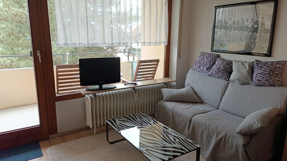 🌿 Bezugsfertig vollmöbliert – 1-Zimmer-Wohnung im vollsanierten A+-Haus mit Balkon! 🌳 – Wohnraum vor Umbau 4