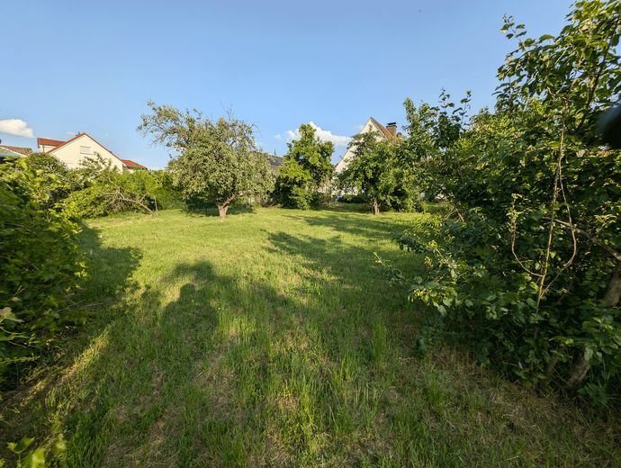 26 Gartenblick hinten-vorne
