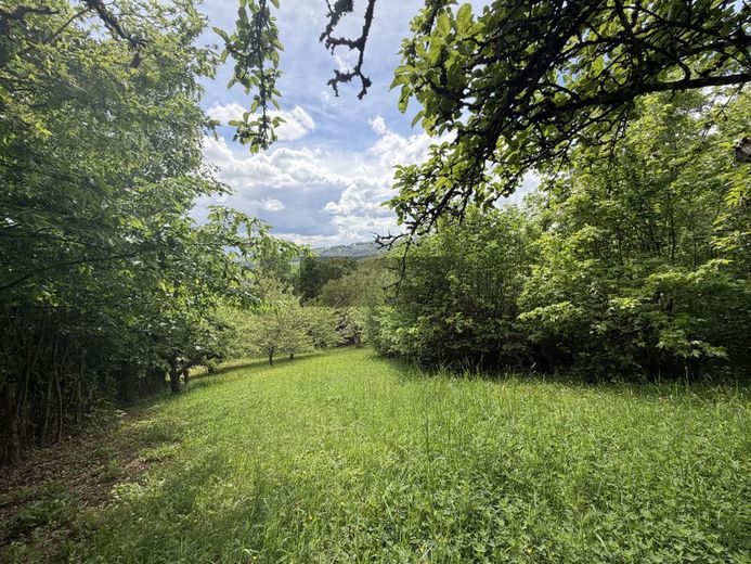 Freizeitgrundstück mit zwei Häusern, Wintergarten &amp; traumhaftem Ausblick – Bild 4