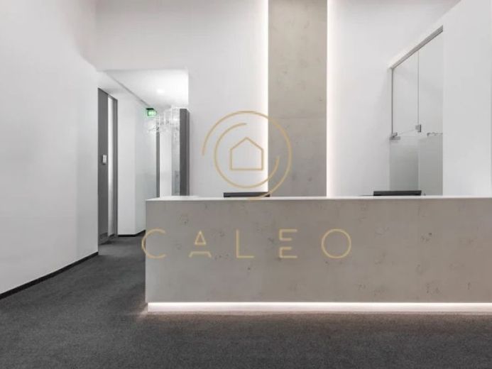CALEO ¦ Bezirk 1 ¦ Herrengasse ¦ flexibel + sofort bezugsfertig ¦ All-in-Miete ¦ PROVISIONSFREI – Foto 1