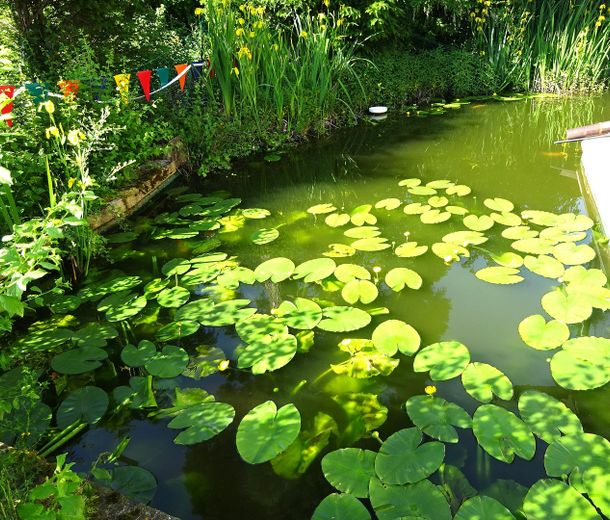 Große Maisonette mit Garten und Biotop – Teich mit Seerosen