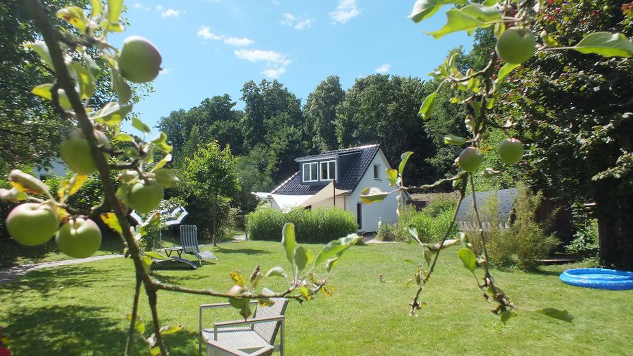 Blick von den Apfelbäumen