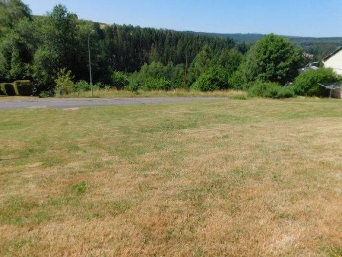 wohnen im Naturpark Hunsrück-Hochwald - erschlossenes 806qm großes Baugrundstück in unverbaubarer Lage – Foto 1