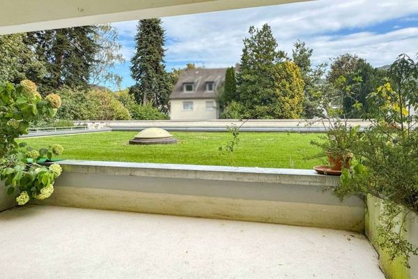 Bezugsfreie Wohnung in Rhein- und Zentrumsnähe und Terrasse mit Drachenfelsblick in Bonn-Mehlem