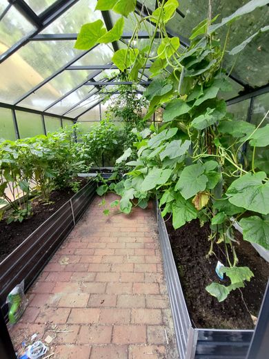 Reetdach-Anwesen | 369 m² | Pool | Sauna | 1.985 m² | von Privat – WJ-00191_bild_012.jpeg