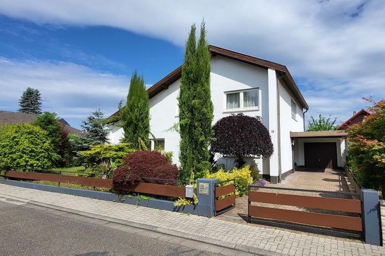 Einfahrt mit Garage