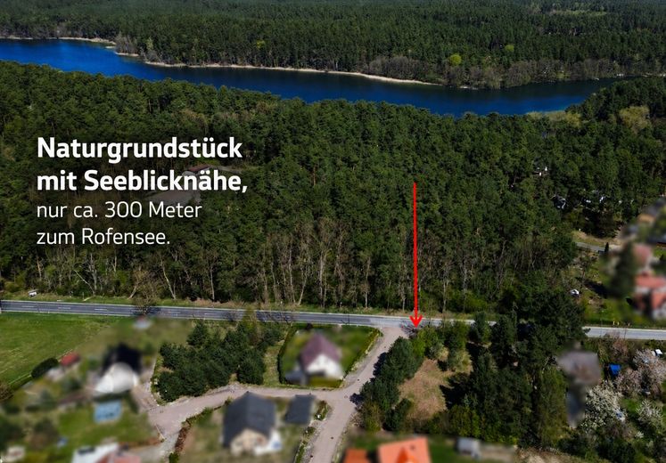 1.254 m² Baugrundstück nahe Stechlinsee – teilbar , ruhige Lage (provisionsfrei) – Naturgrundstück nähe Roofensee