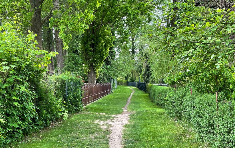 Sonnige Wohnung direkt am See in Neuruppin mit Gartenterrasse, voll ausgestattet – 21_Spazierweg zum Wald