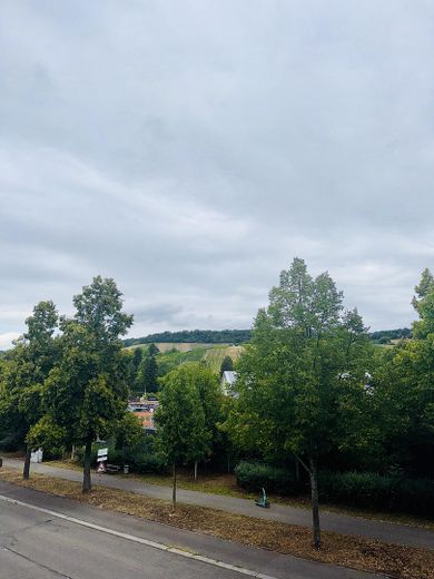 Gepflegte 3-Zimmerwohnung in Toplage von Heilbronn Ost – Blick aus Küchenfenster