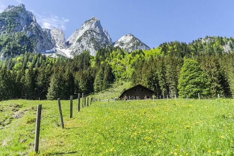 Investment in die Zukunft - Renditeobjekt - Neubau - verpachtet - im Umland von Salzburg – Bild 1