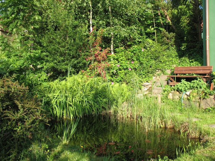 Gartenteich