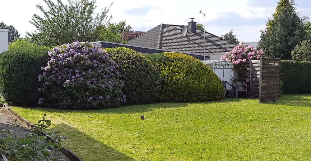 Gartenblick 1