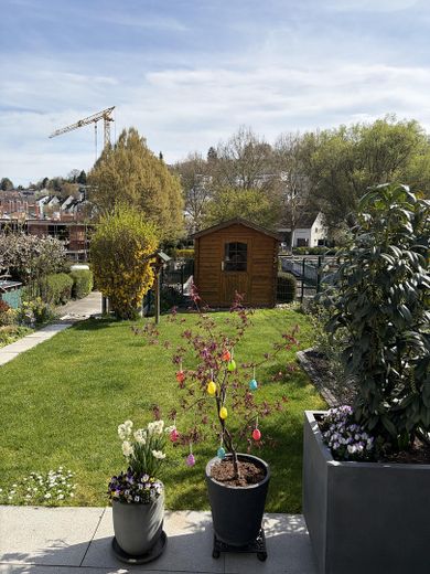 Casa a schiera molto ben tenuta – Photo 5