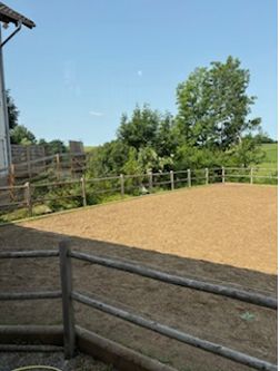 Eingefasster Reitplatz