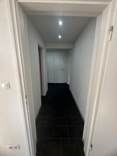 Prima occupazione dopo la ristrutturazione: luminoso appartamento di 2 locali con nuova cucina componibile – Flur