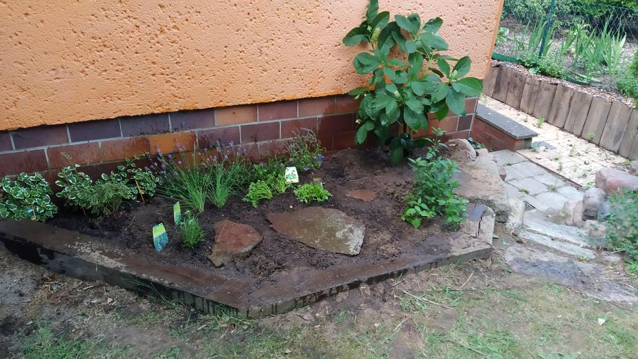 aussen Kräutergarten