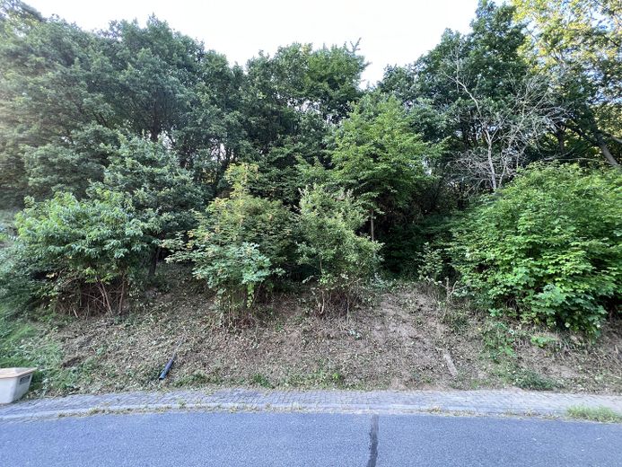 Baugrundstück Straßenansicht