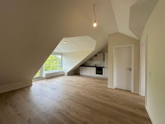 Provisionsfreie Neubau-Dachgeschosswohnung–Erstbezug, hochwert. Ausstattung, 5 Min. Bhf Köpenick – Wohn-/Esszimmer