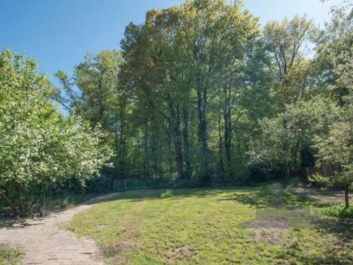 Traumgrundstück in bester Waldrandlage von Langen - provisionsfrei – Foto 1