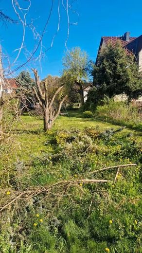 Bleicherode, EFH + Nebengeb. – Bild 5