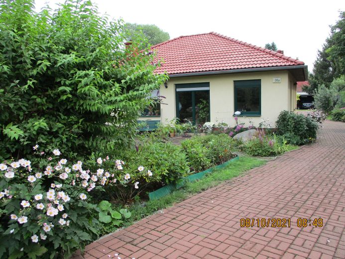 Sie sehen links die Magnolie