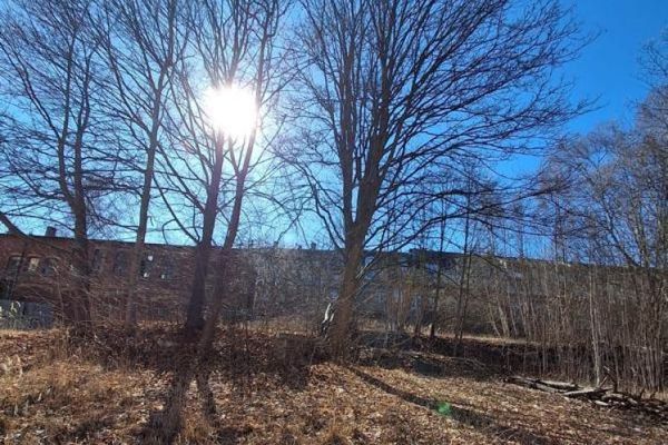 Objekt-Nr.: 1726 - Due terreni edificabili in una zona residenziale molto apprezzata a Plauen