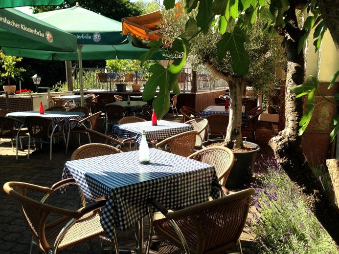 Biergarten unterm Feigenbaum