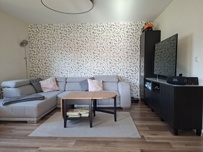 Modernisiertes Einfamilienhaus mit Wärmepumpe, großer PV-Anlage und großzügigem Grundstück – Wohnzimmer