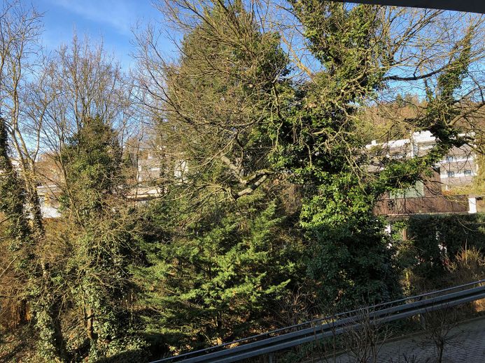 Ausblick