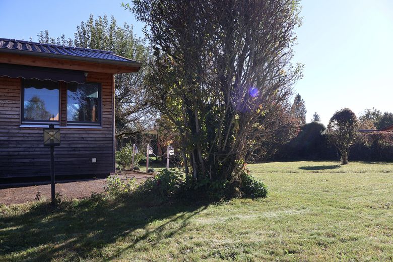 Freifläche mit Weide