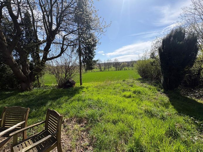 Blick aus dem Garten