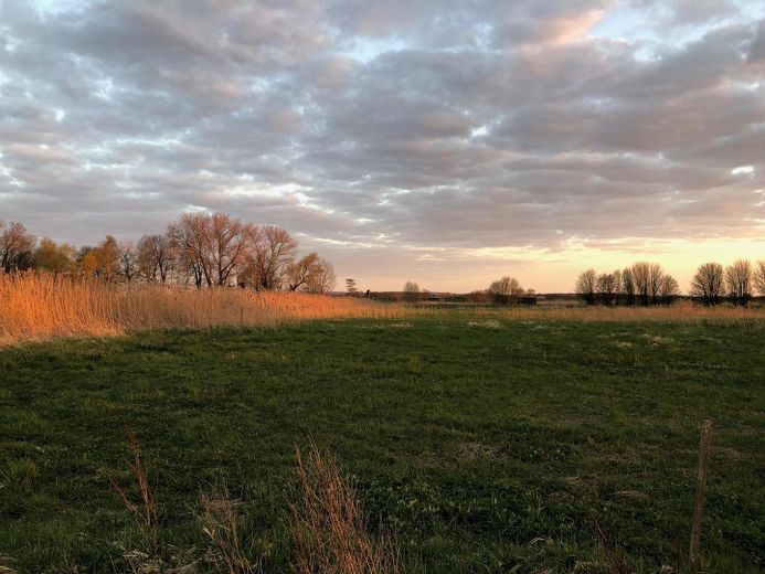 Wiese Wassermühlenweg 
