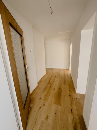 Sofort bezugsfrei nach Renovierung | Findorff | Garage | provisionsfrei | nahe Bürgerpark – Eingangsbereich