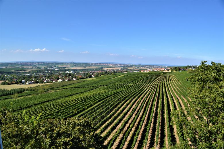 Aussicht vom 2. Balkon 