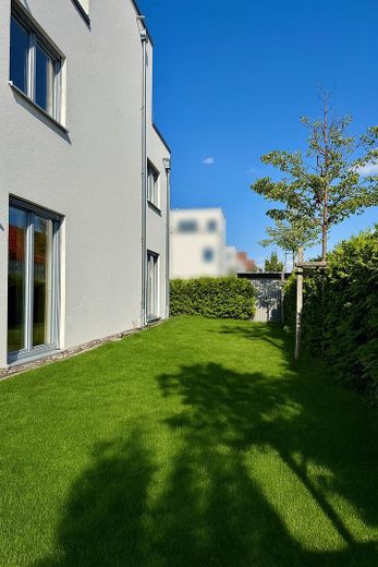 Garten mit Zaun und Hecke