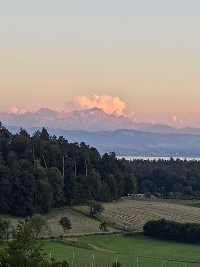 Einfamilienhaus in traumhafter Lage mit Panoramablick auf Bodensee und Schweizer Berglandschaft – Aussicht vom WG/Impressionen 1