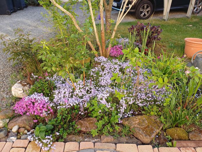 Einfamilienhaus in Kaiserslautern Erfenbach auf Eigentumsgrundstück, mit Anbau und Garten – Foto 14