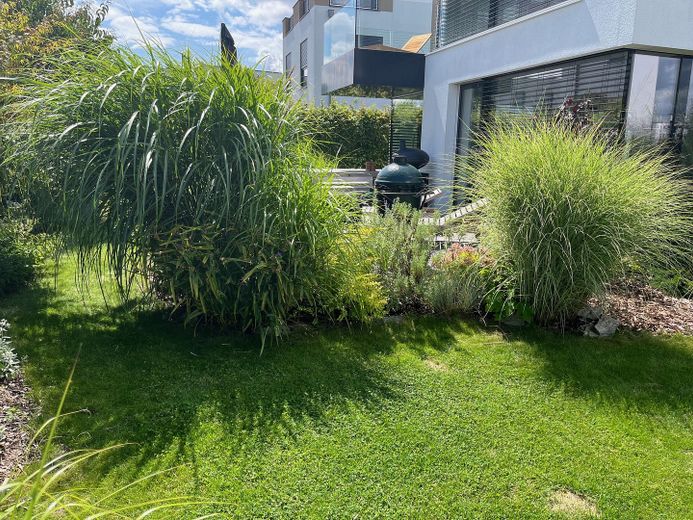 Wohnen - Arbeiten - Ferien auf höchstem Niveau am Zwenkauer See – Foto 7