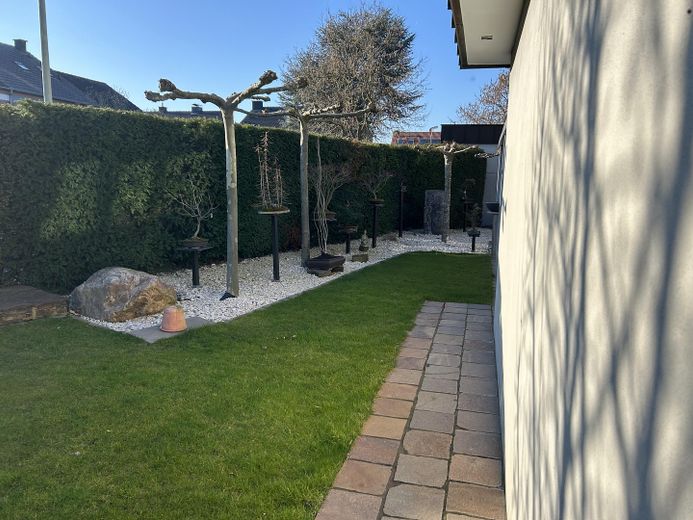 Besondere Kapitalanlage mit Eigennutzungsoption – Haus-im-Haus und fünf Mietwohnungen – Garten 1