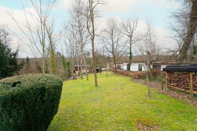 Blick von Terrasse in Garten