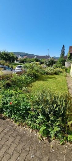 Garten_2
