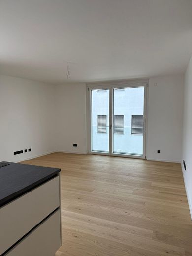 Stilvolle, neuwertige 3,5-Raum-Wohnung mit geh. Innenausstattung mit Balkon und EBK in Neckarsulm – Wohnzimmer