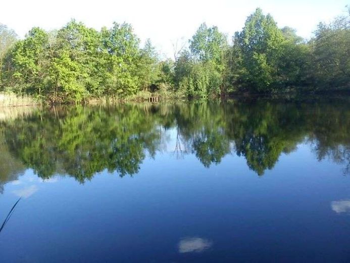 Ihr eigenes Fisch-Teichgrundstück mit 12.766 m² – Foto 1
