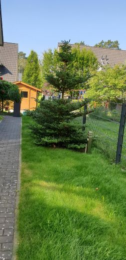 Casa pari al nuovo, curata, in un ambiente vicino alla natura – Foto 21