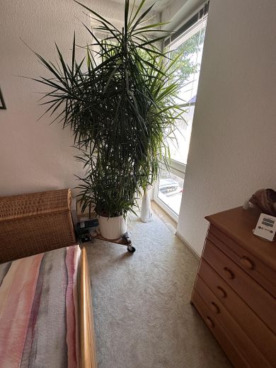 Zwei-Raum-Wohnung im Grünen/citynah  (ohne Provision, inkl. Kfz-Stellplatz) – Foto 6