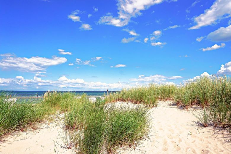DÜne am Ostseestrand