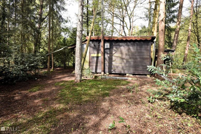 Bild 5