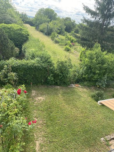 Geschmackvolle Doppelhaushälfte am Wasserturm – Garten