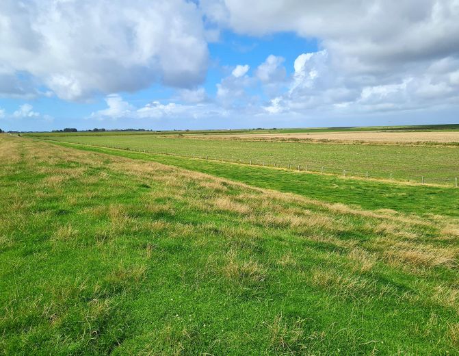 Casa di campagna con tetto di paglia in posizione assolutamente isolata – Landschaftsblick